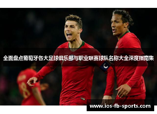 全面盘点葡萄牙各大足球俱乐部与职业联赛球队名称大全深度指南集
